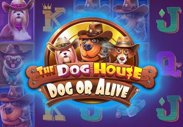Автомат The Dog House Dog Or Alive в CryptoBoss Casino